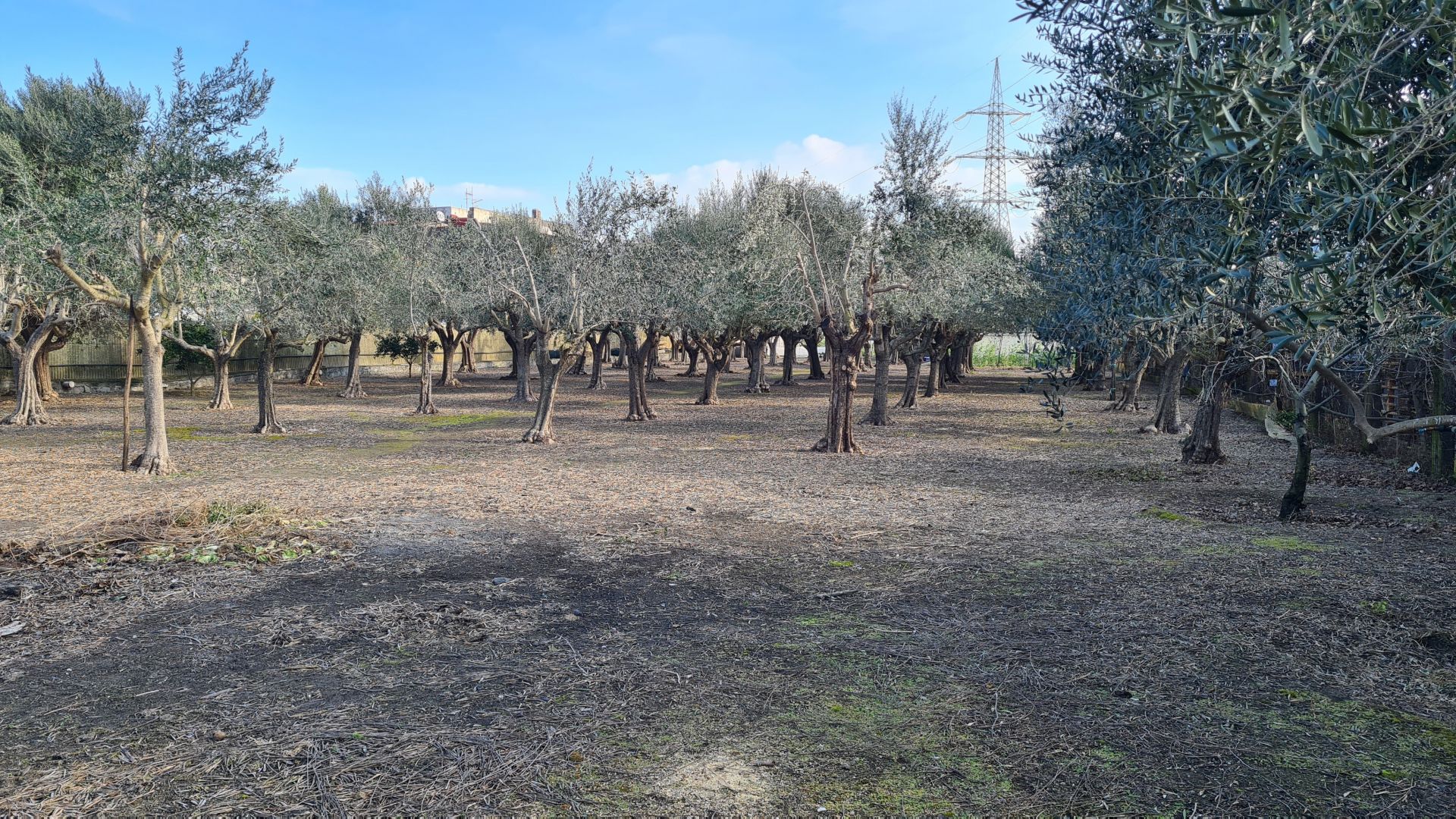 Terreno Agricolo in Vendita Pompei