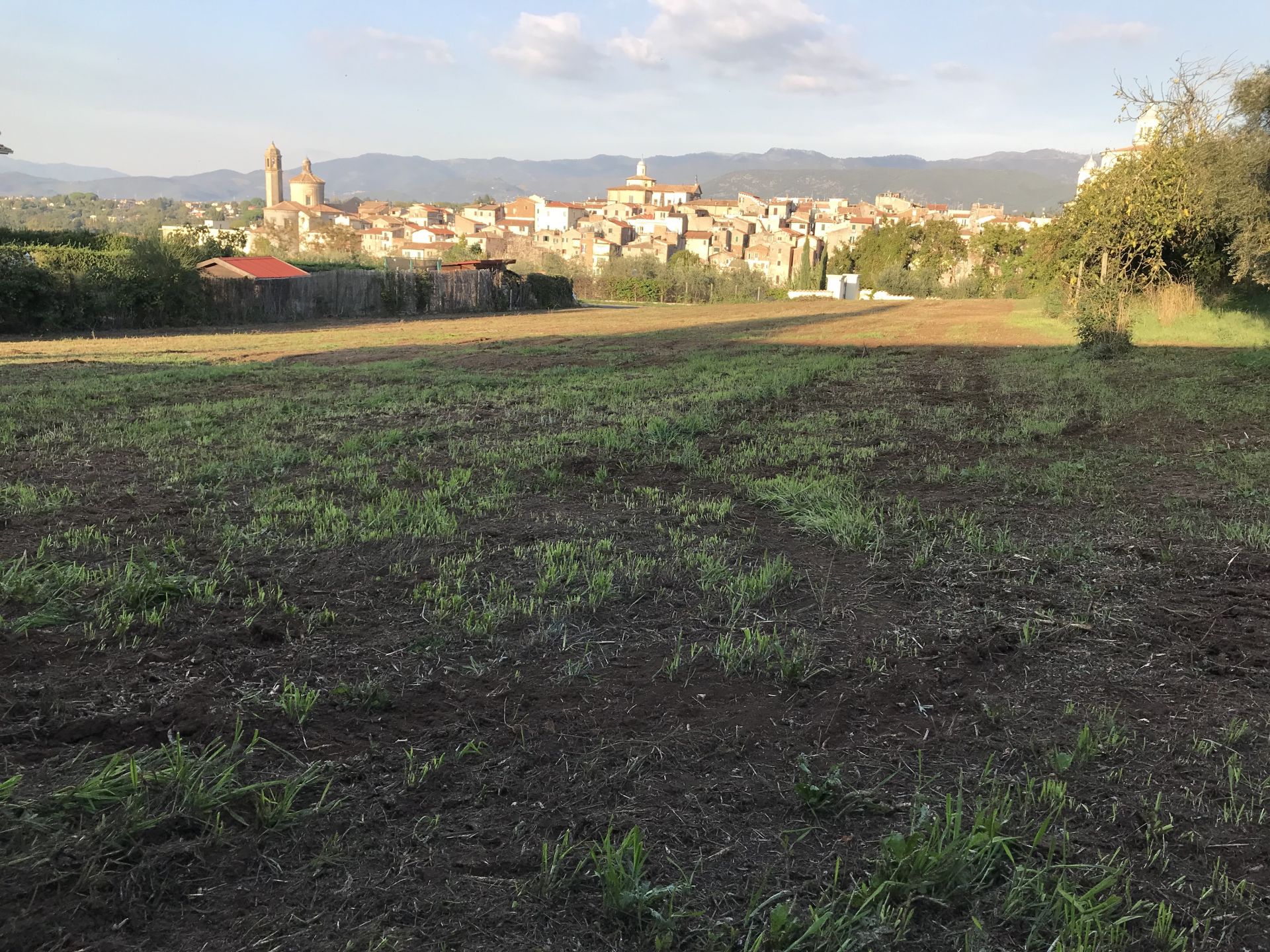Vendita Terreno edificabile Zagarolo