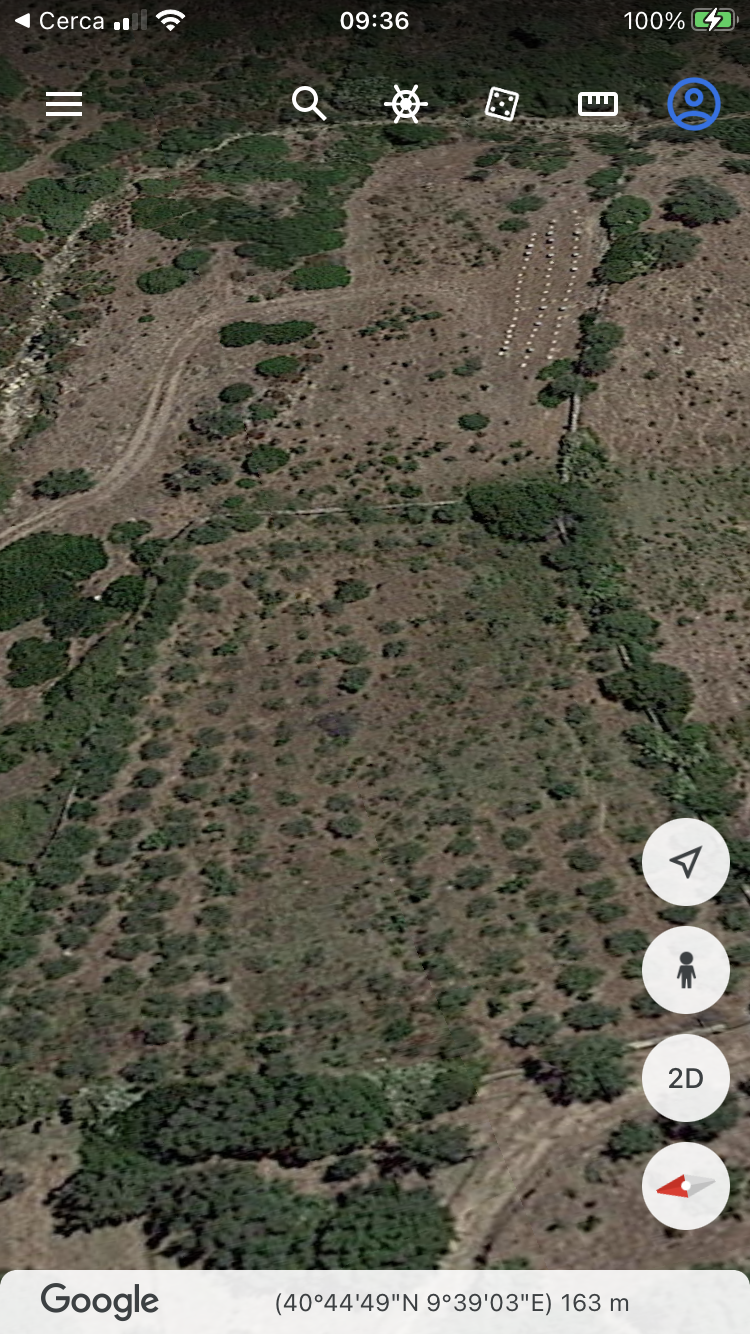 Vendita Terreno Agricolo San Teodoro