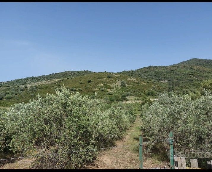 Vendita Terreno Agricolo San Teodoro
