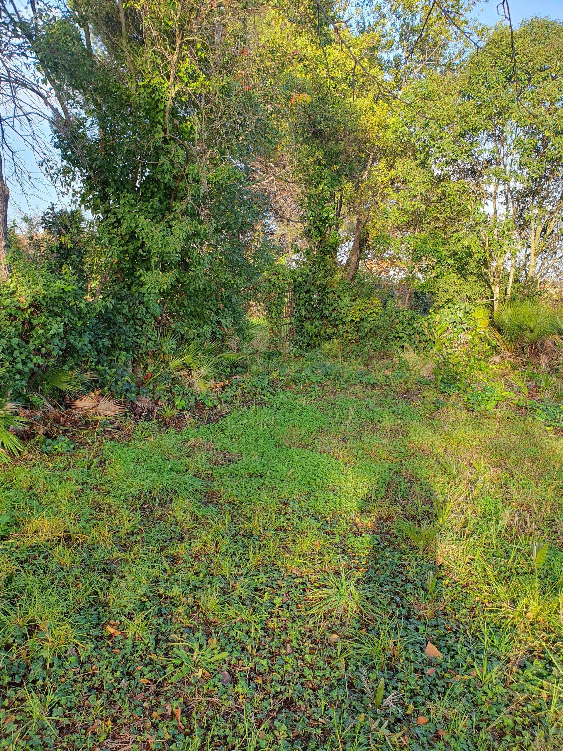 Vendita Terreno edificabile Roma