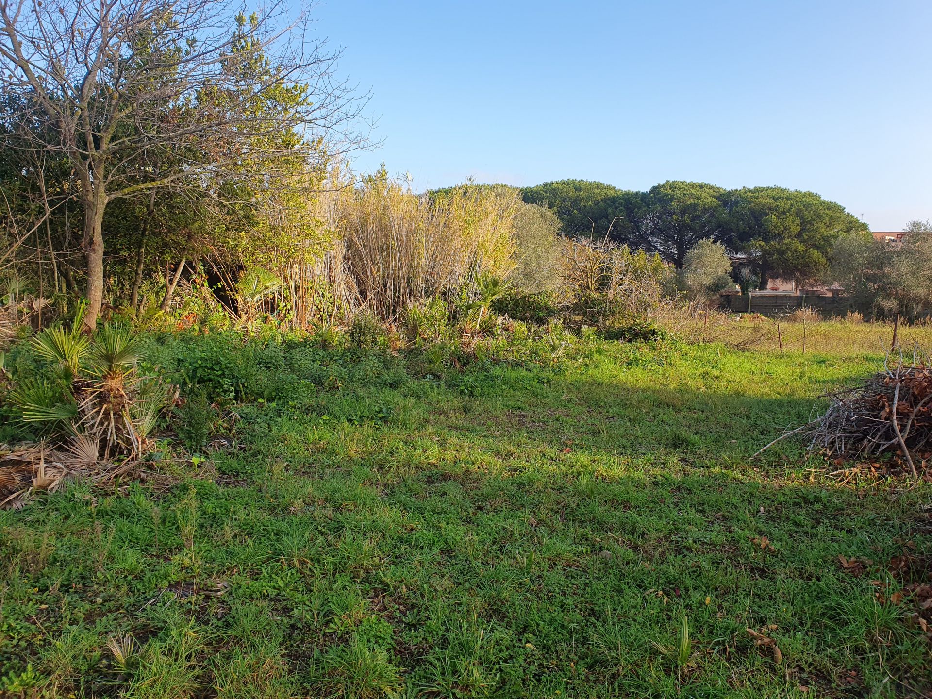 Vendita Terreno edificabile Roma