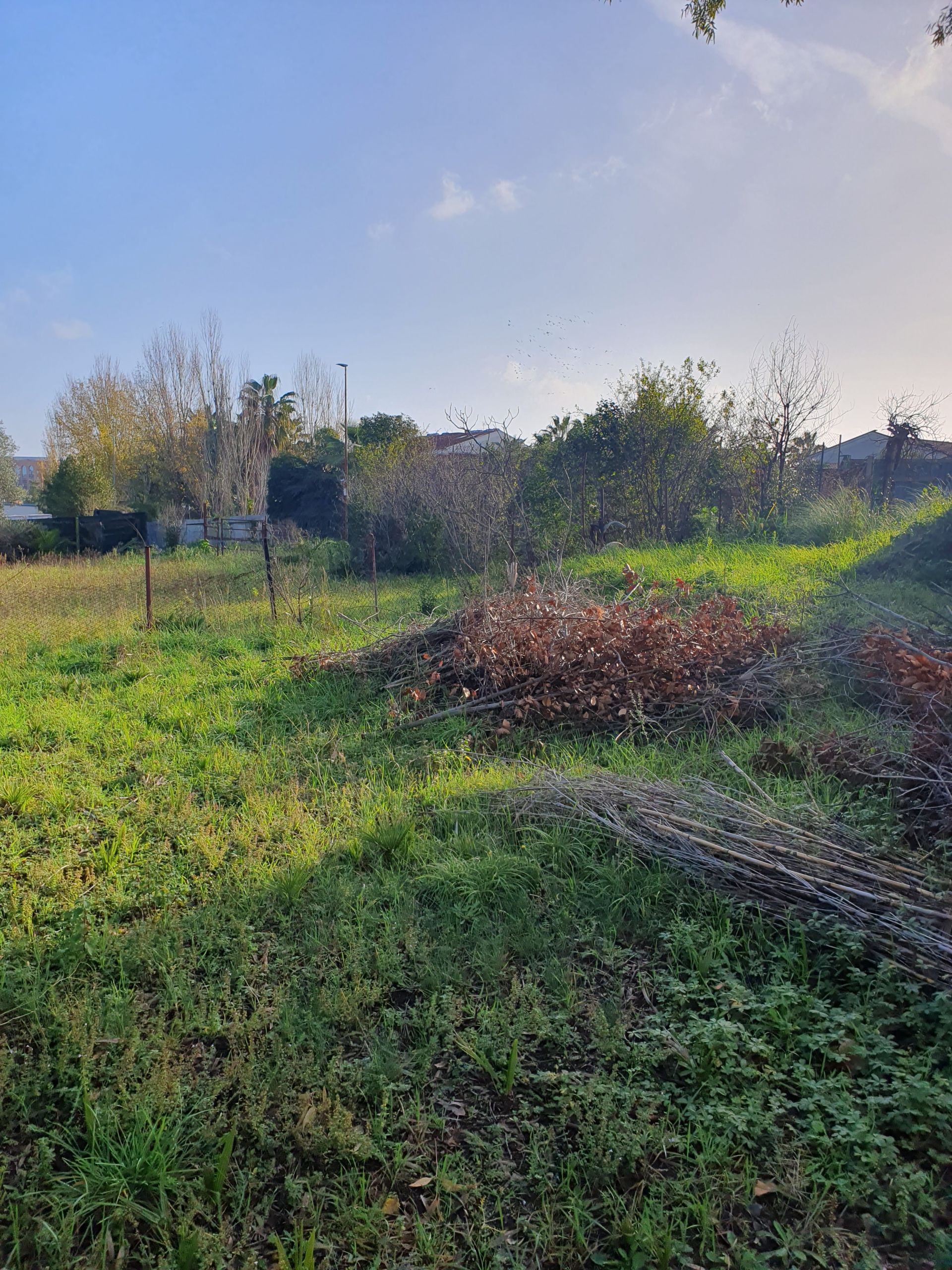 Vendita Terreno edificabile Roma