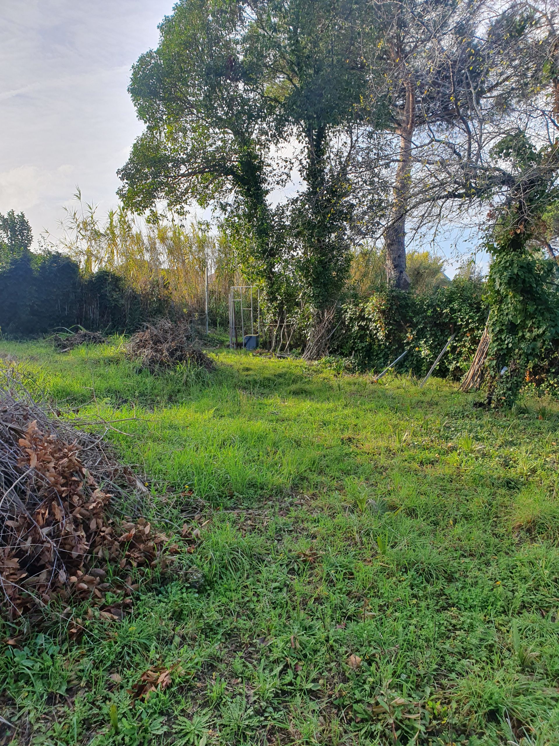 Vendita Terreno edificabile Roma