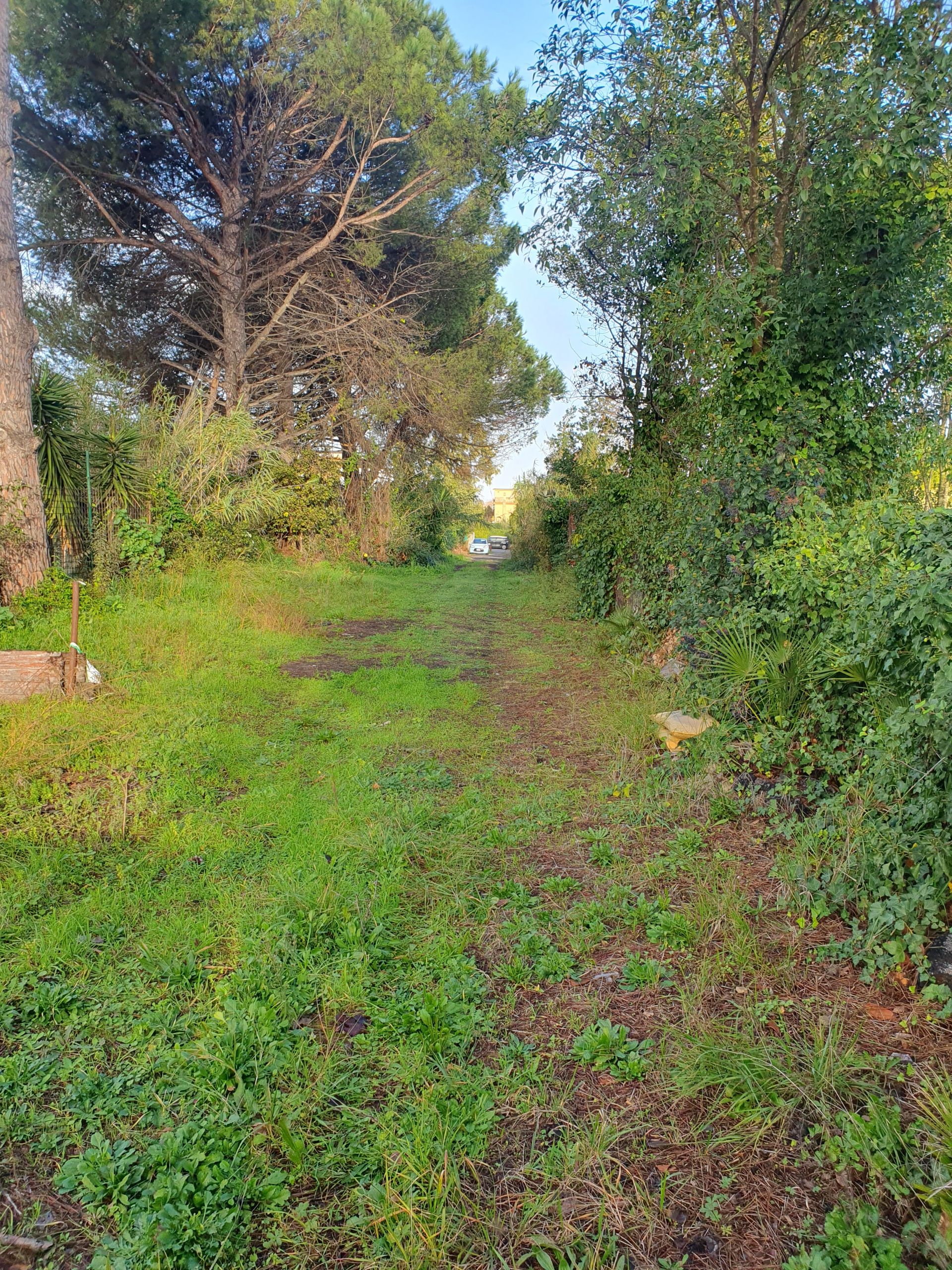 Vendita Terreno edificabile Roma