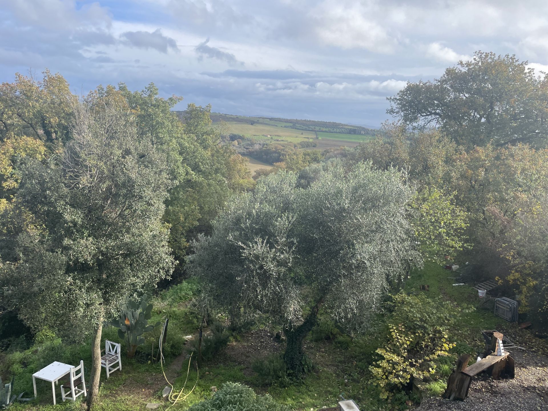 Vendita Terreno edificabile Magliano in Toscana