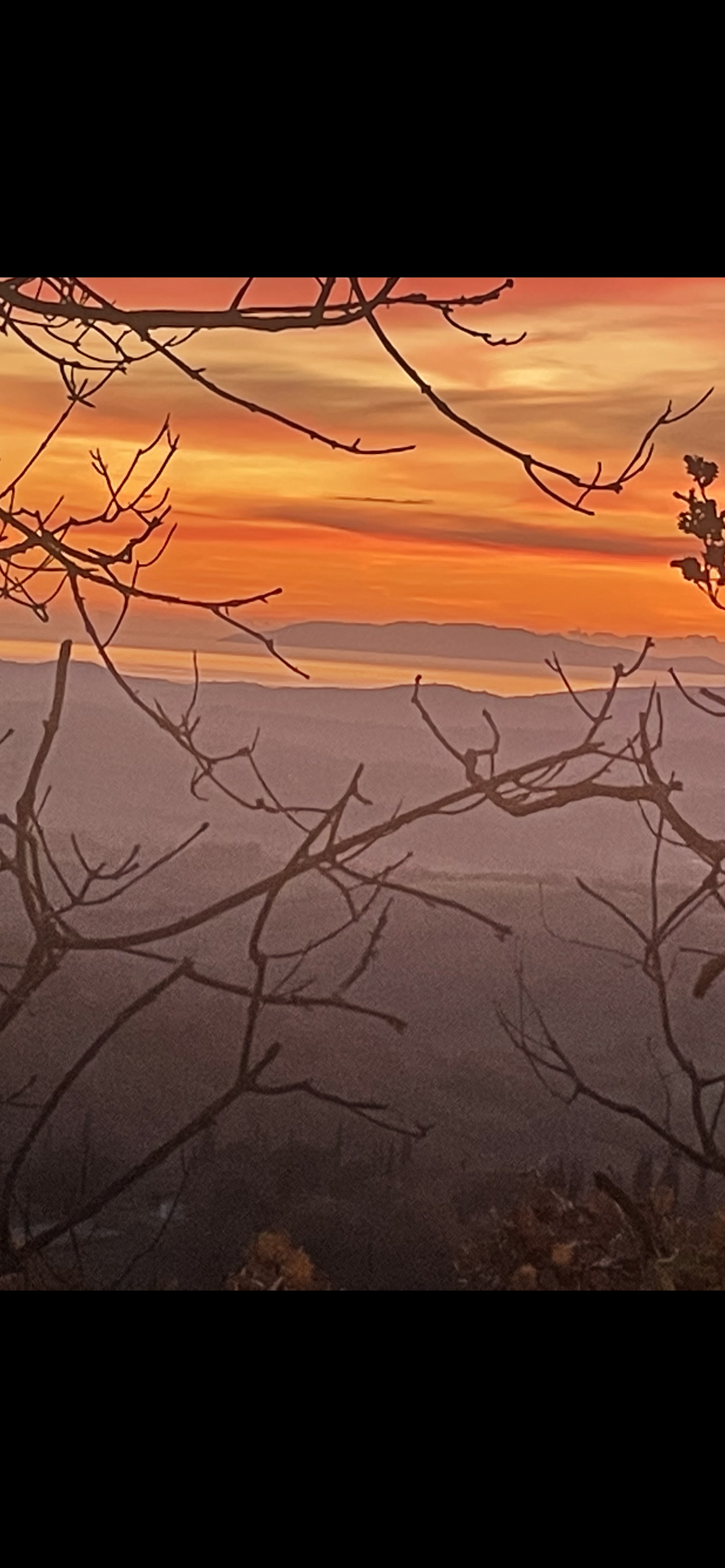Vendita Terreno edificabile Magliano in Toscana