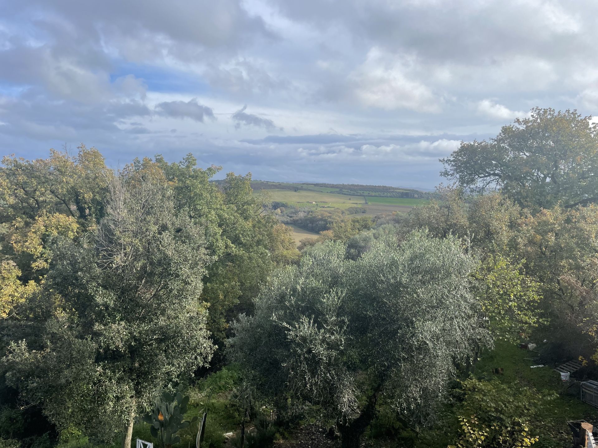 Terreno edificabile in Vendita Magliano in Toscana