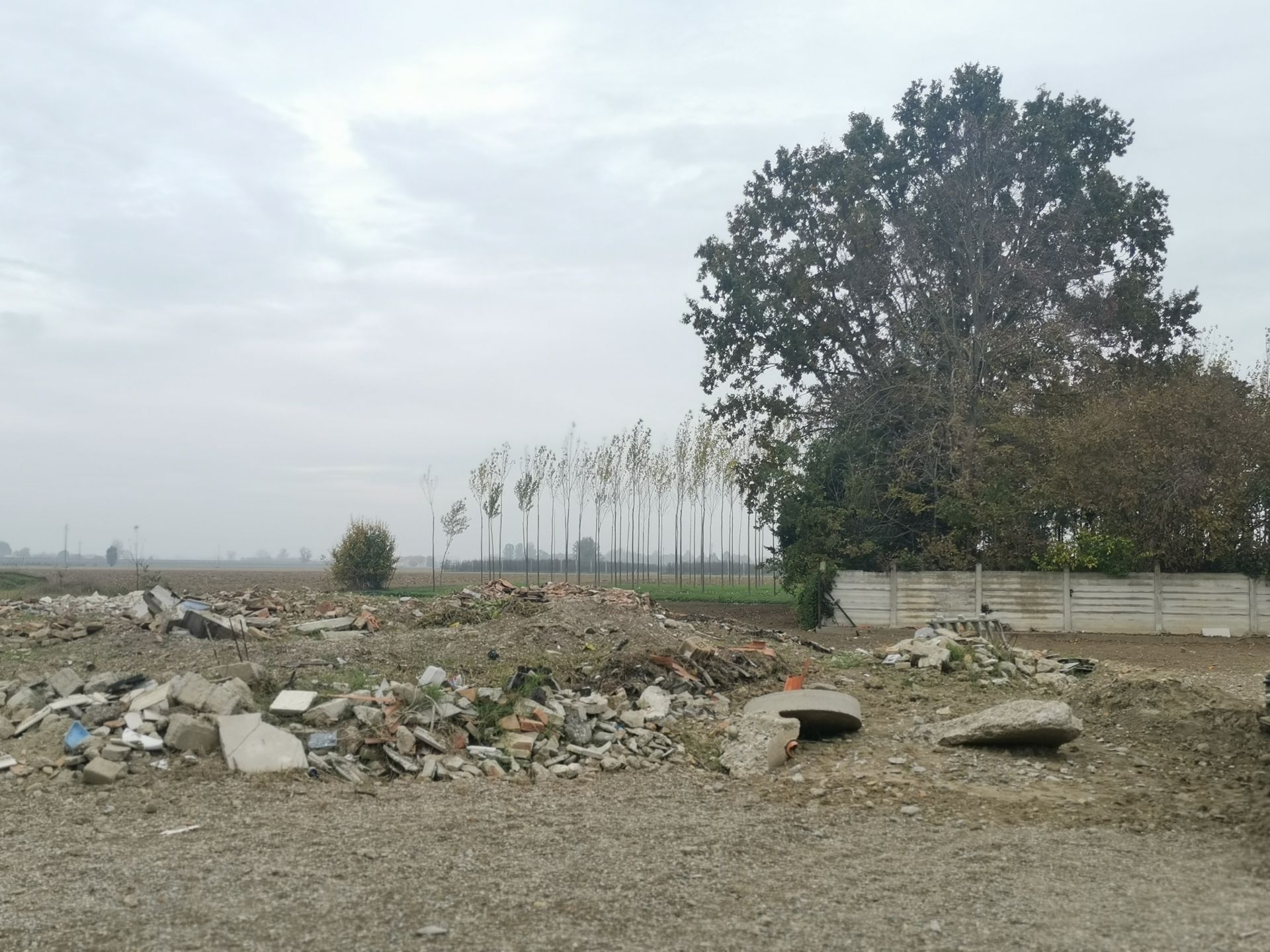 Vendita Terreno edificabile Cavezzo