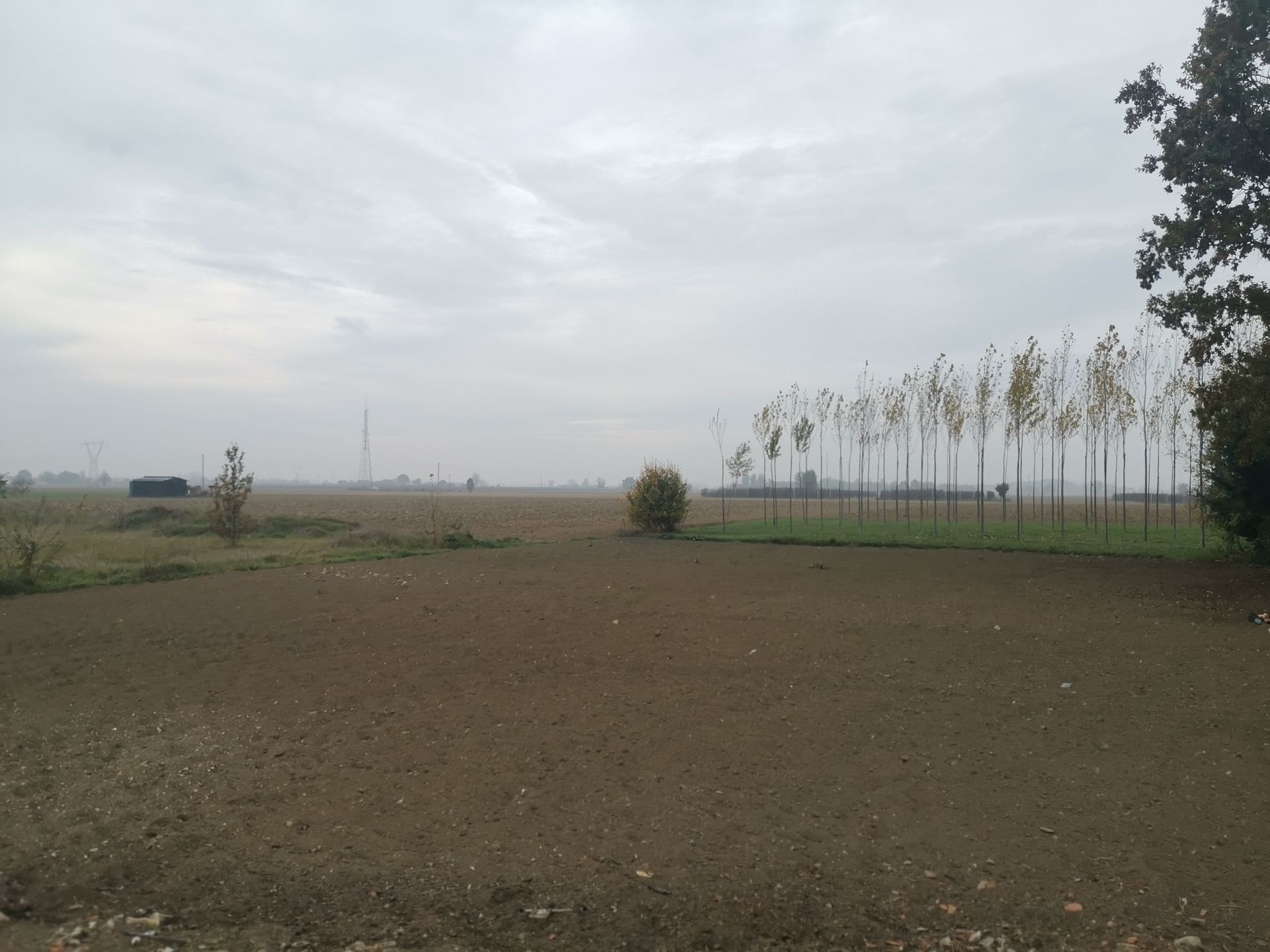 Vendita Terreno edificabile Cavezzo