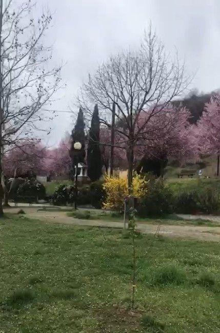 Vendita Terreno Residenziale Capolona