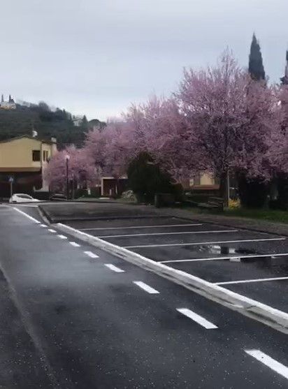 Vendita Terreno Residenziale Capolona