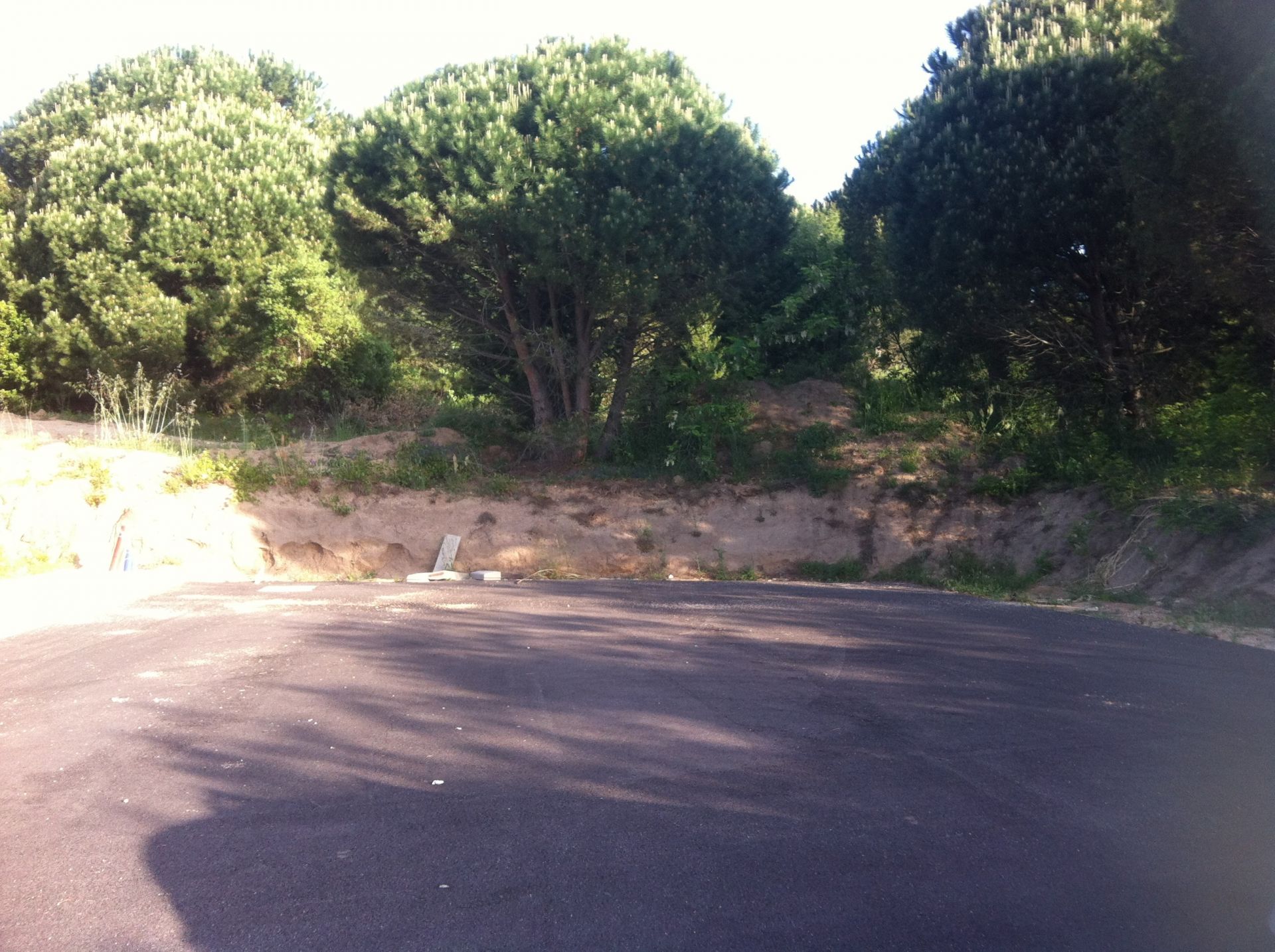 Vendita Terreno edificabile Tempio Pausania