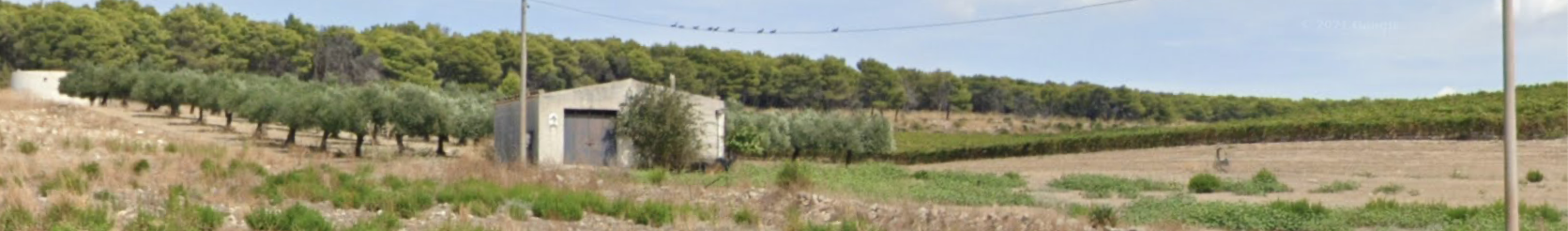 Vendita Terreno Agricolo Menfi
