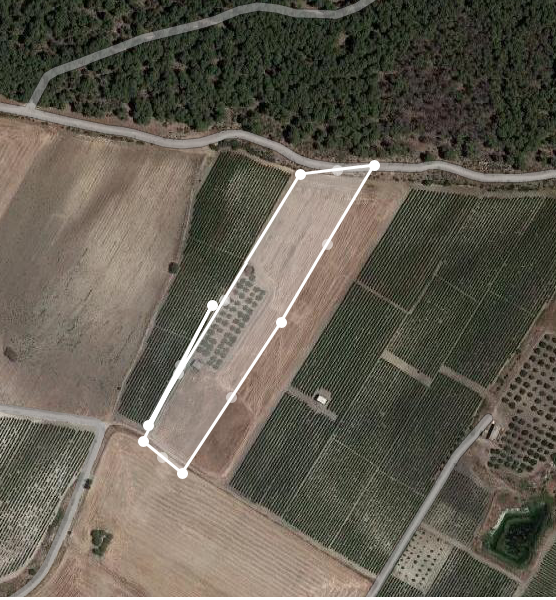 Vendita Terreno Agricolo Menfi