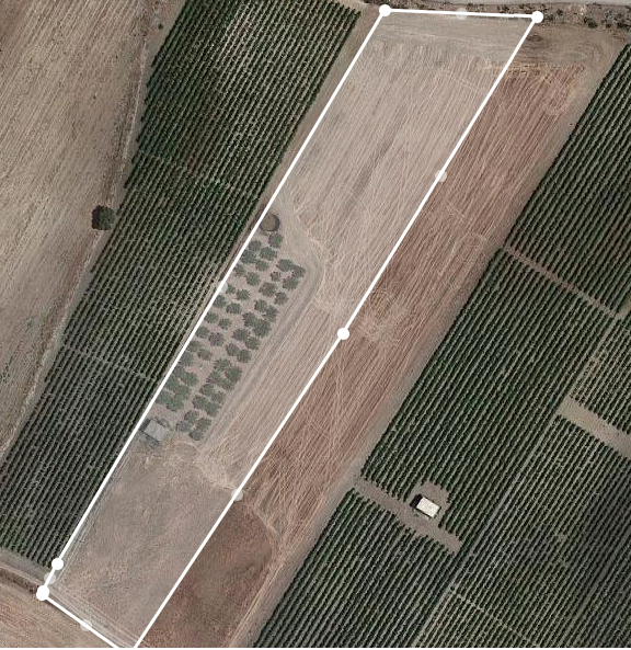 Vendita Terreno Agricolo Menfi