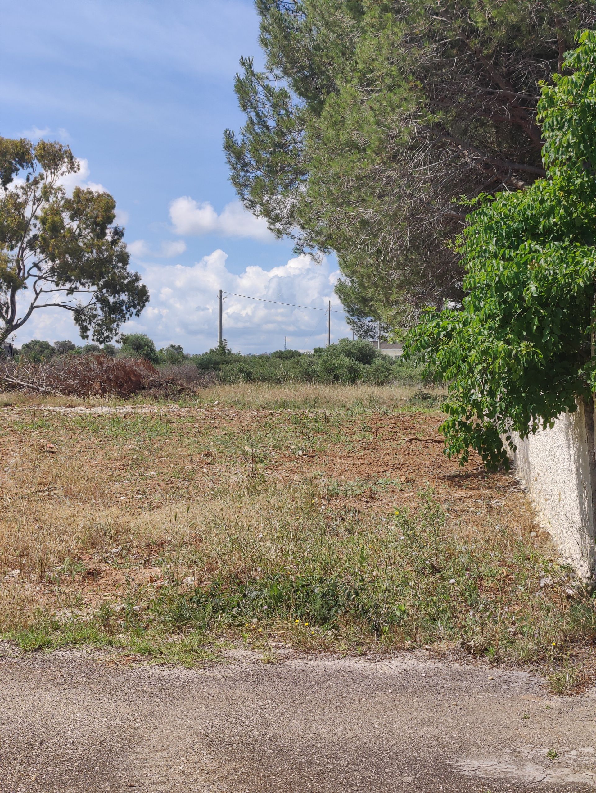 Terreno edificabile in Vendita Ostuni