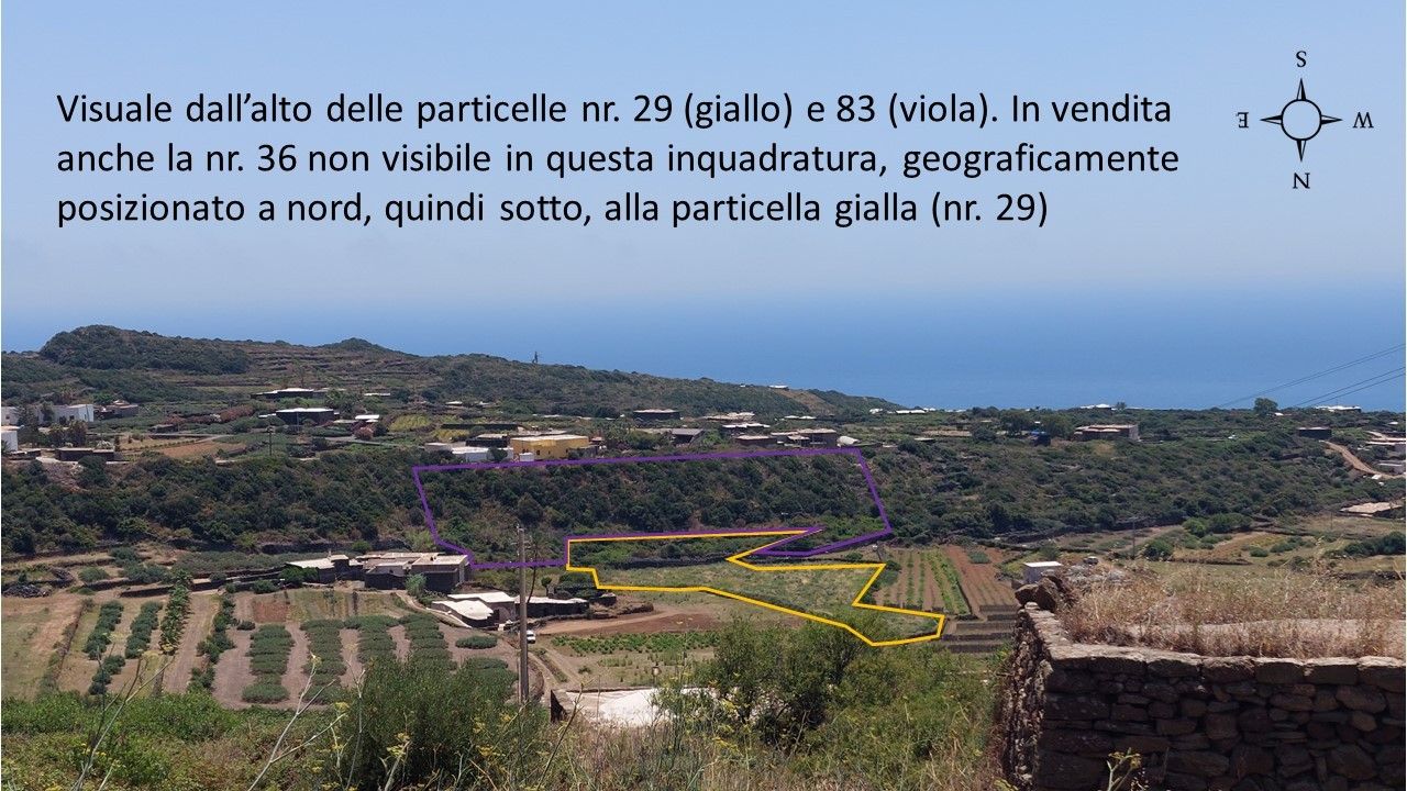 Vendita Terreno Agricolo Pantelleria
