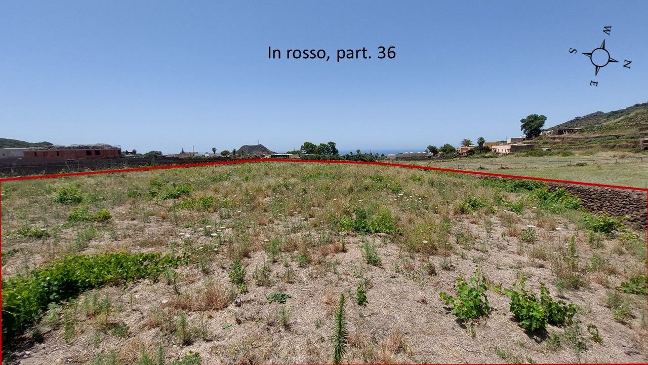 Vendita Terreno Agricolo Pantelleria