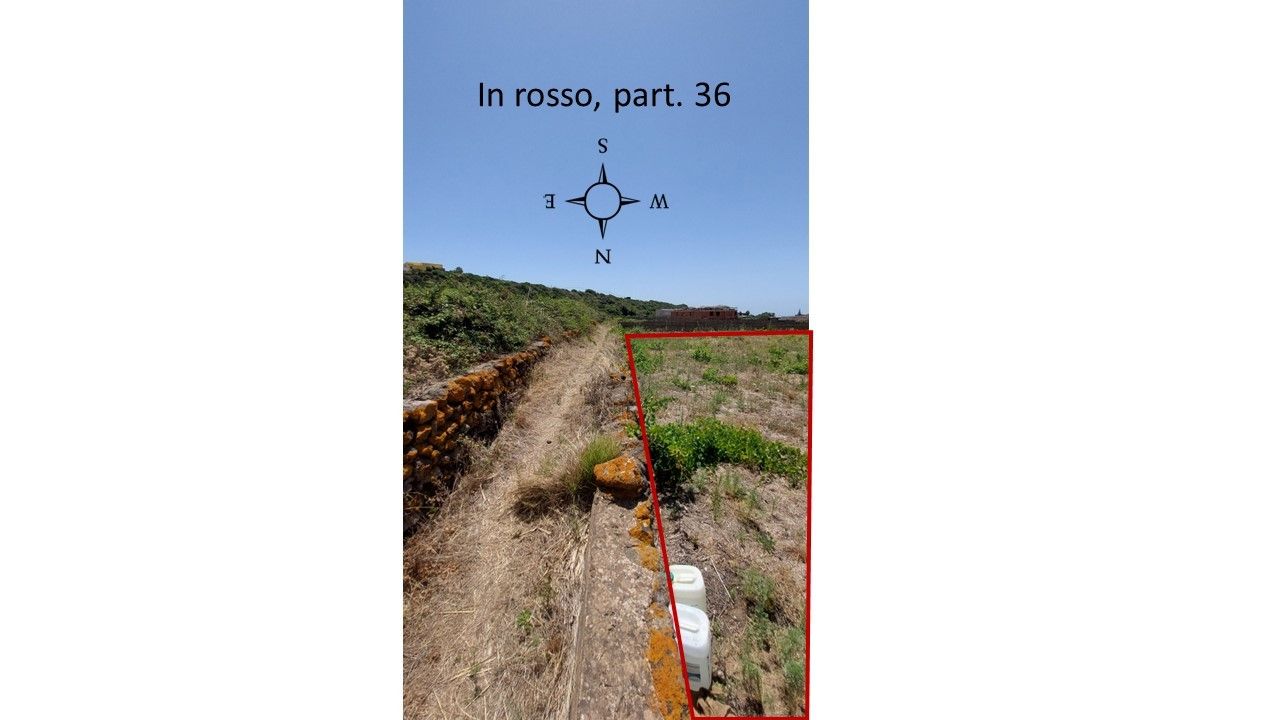 Vendita Terreno Agricolo Pantelleria