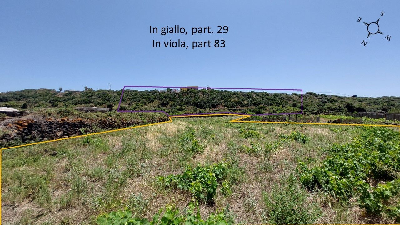 Vendita Terreno Agricolo Pantelleria