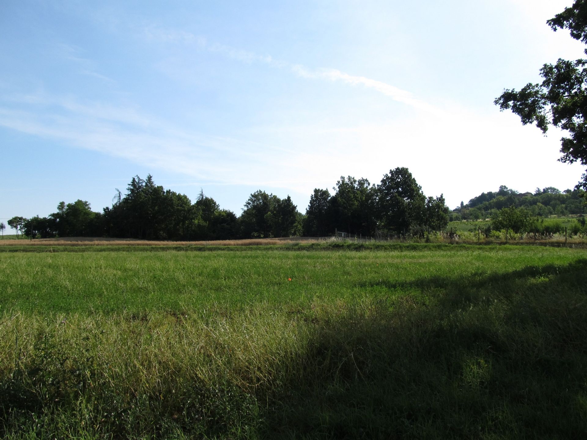 Vendita Terreno Agricolo Spineto Scrivia