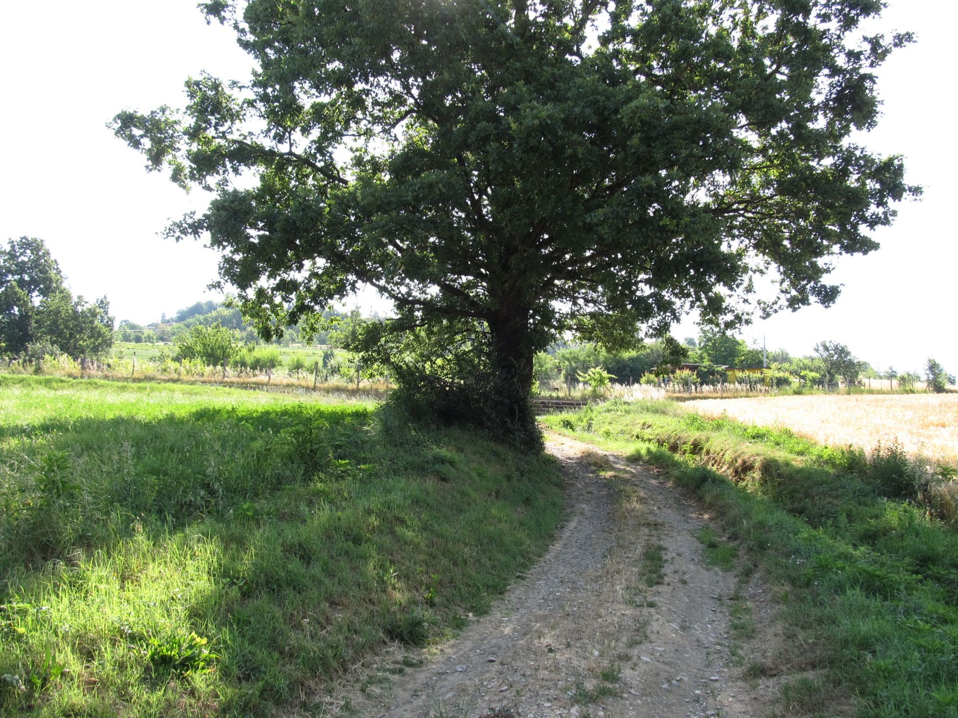 Vendita Terreno Agricolo Spineto Scrivia