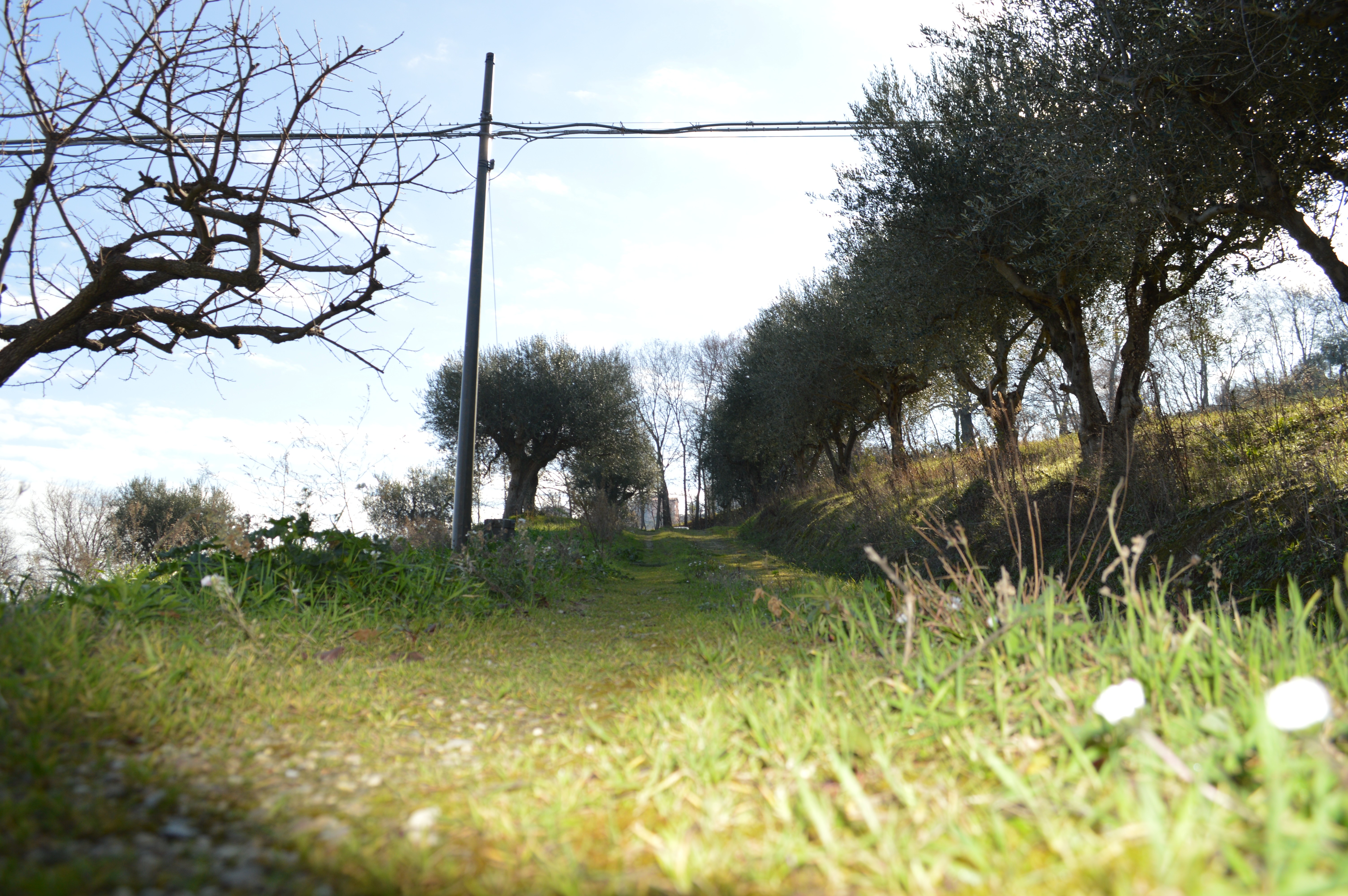 Vendita Terreno edificabile Montegranaro