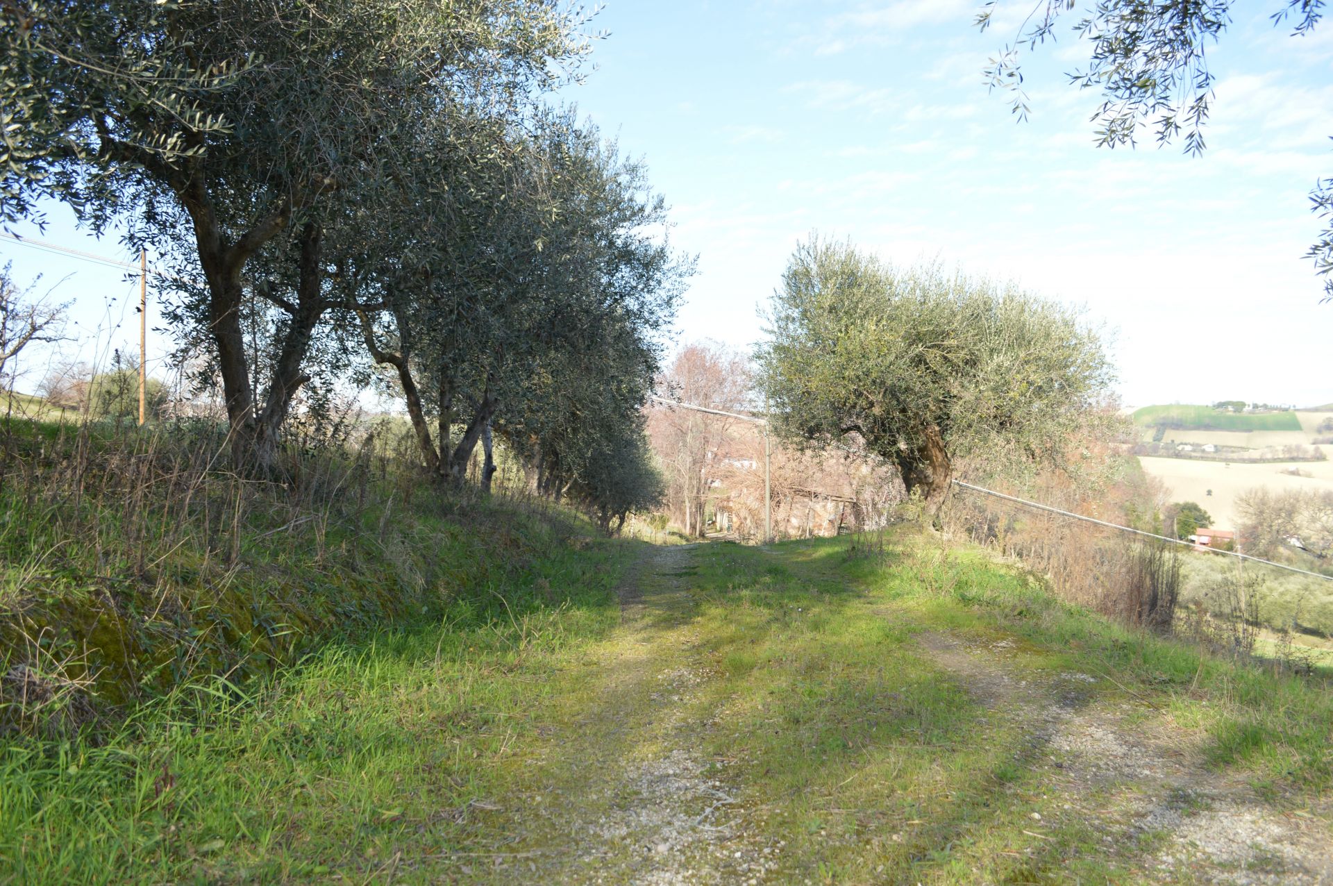 Terreno edificabile in Vendita Montegranaro