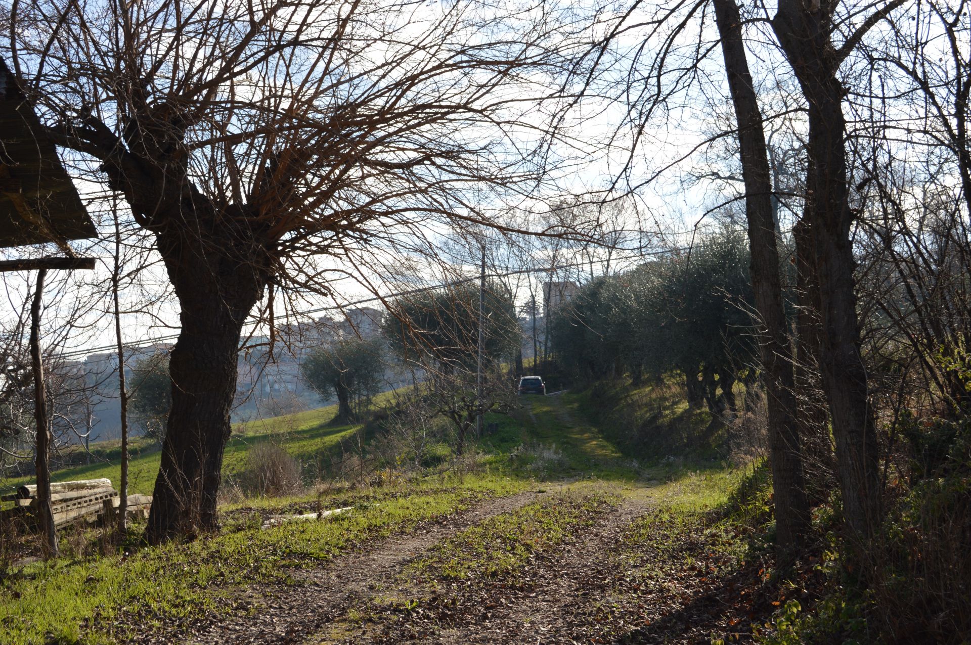 Vendita Terreno edificabile Montegranaro