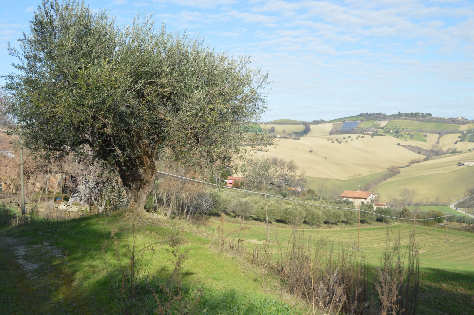 Vendita Terreno edificabile Montegranaro