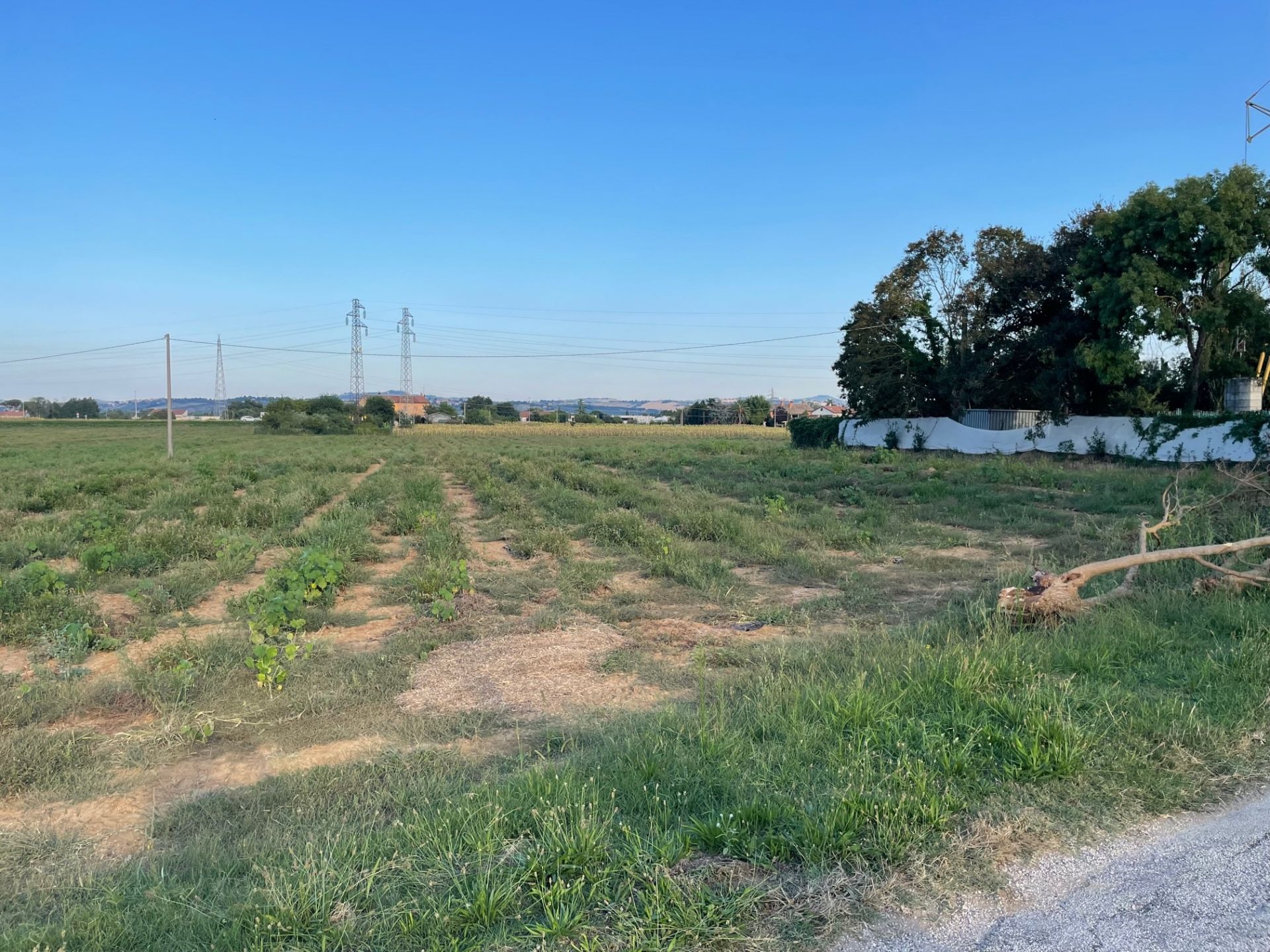 Vendita Terreno Agricolo Monte San Vito