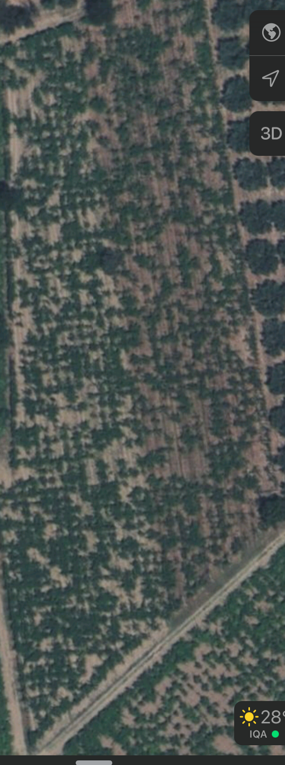 Terreno edificabile in Vendita Casalbordino