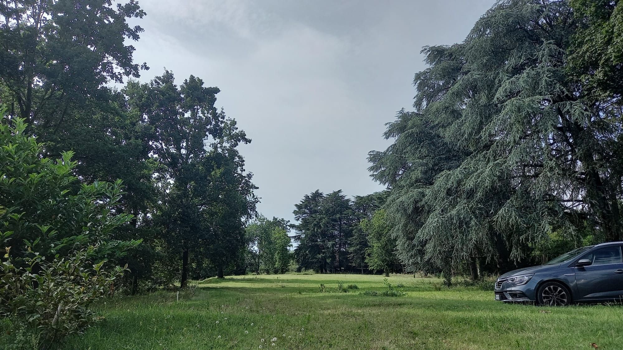 Terreno Agricolo in Vendita Castellanza