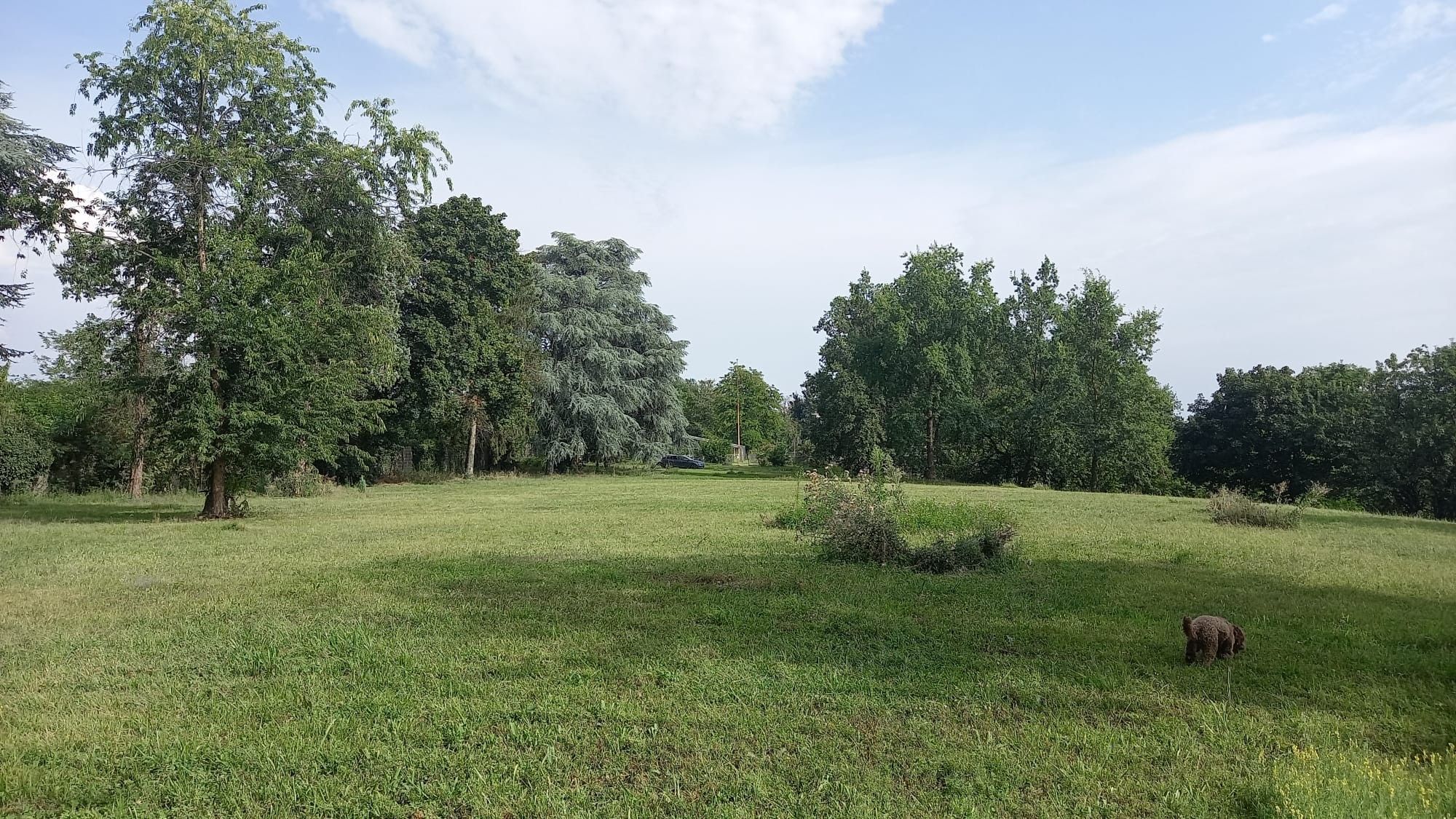 Vendita Terreno Agricolo Castellanza