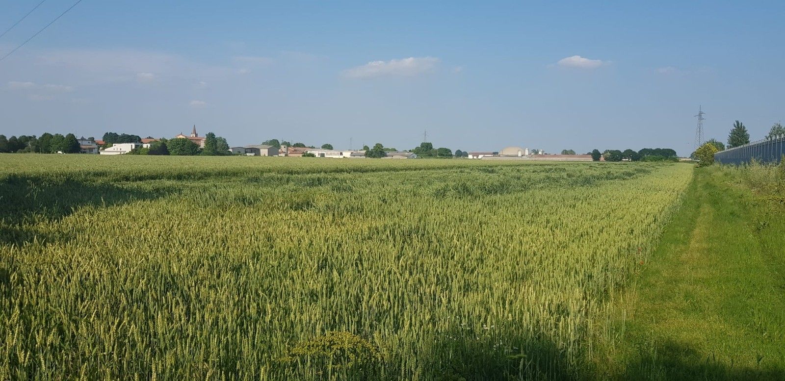 Vendita Terreno Agricolo Casalmaggiore
