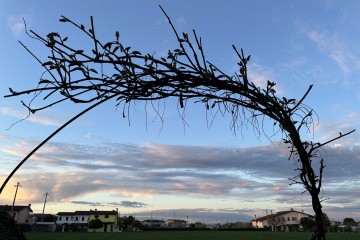 Casa Affiancata Vigonza 