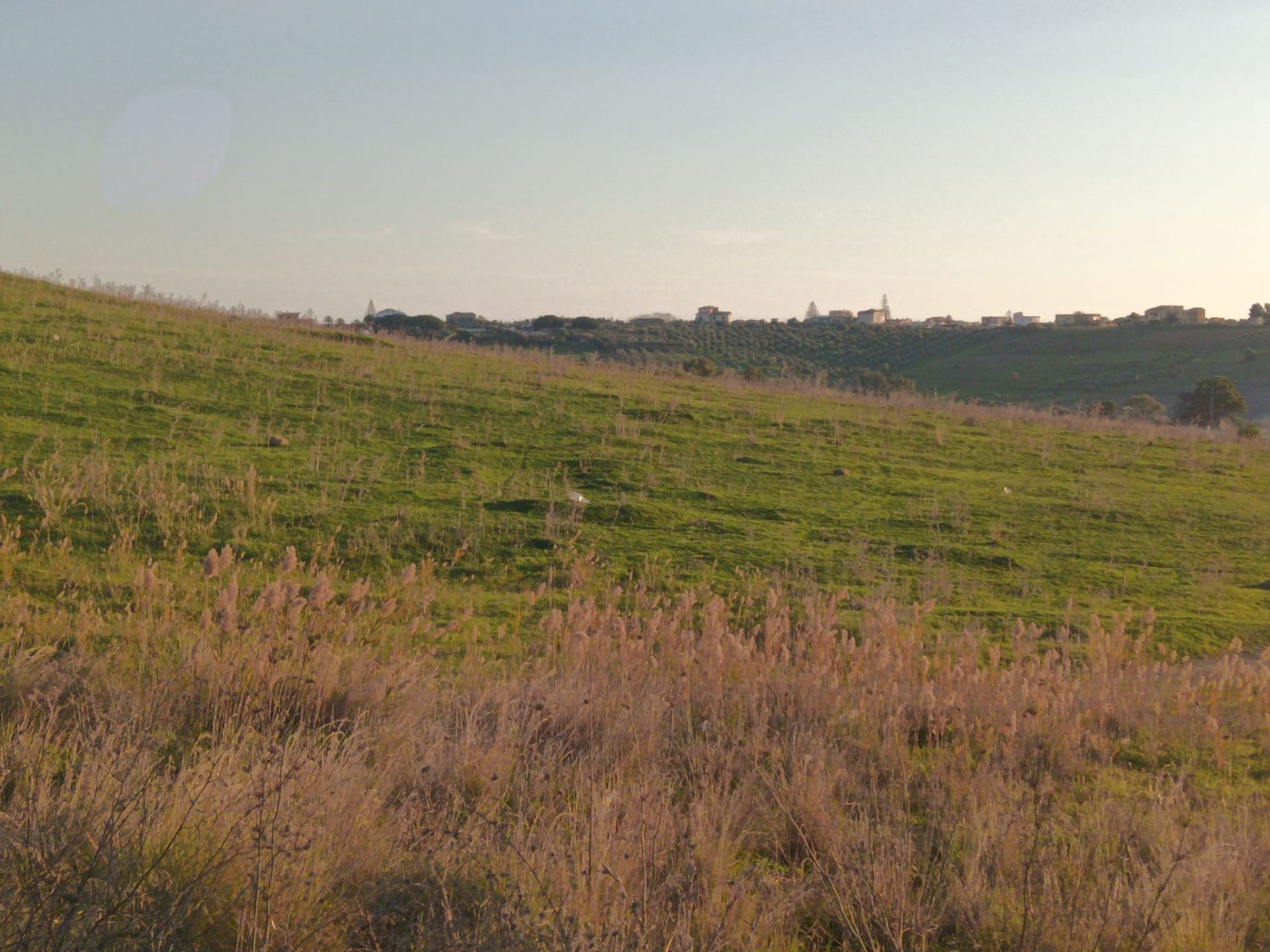 Vendita Terreno Agricolo Agrigento