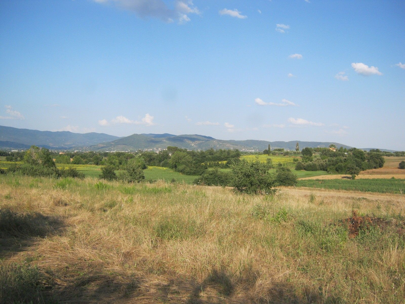 Terreno Agricolo in Vendita Cortona