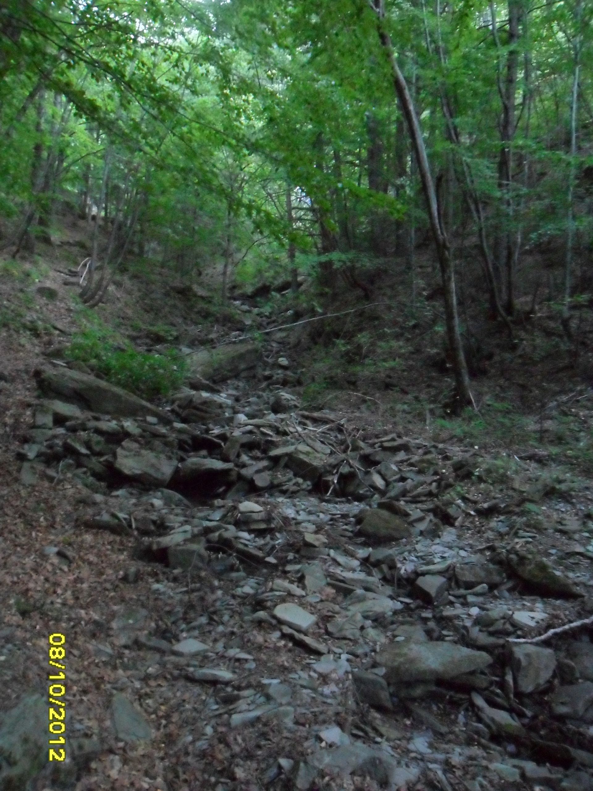 Terreno Agricolo Sestola 