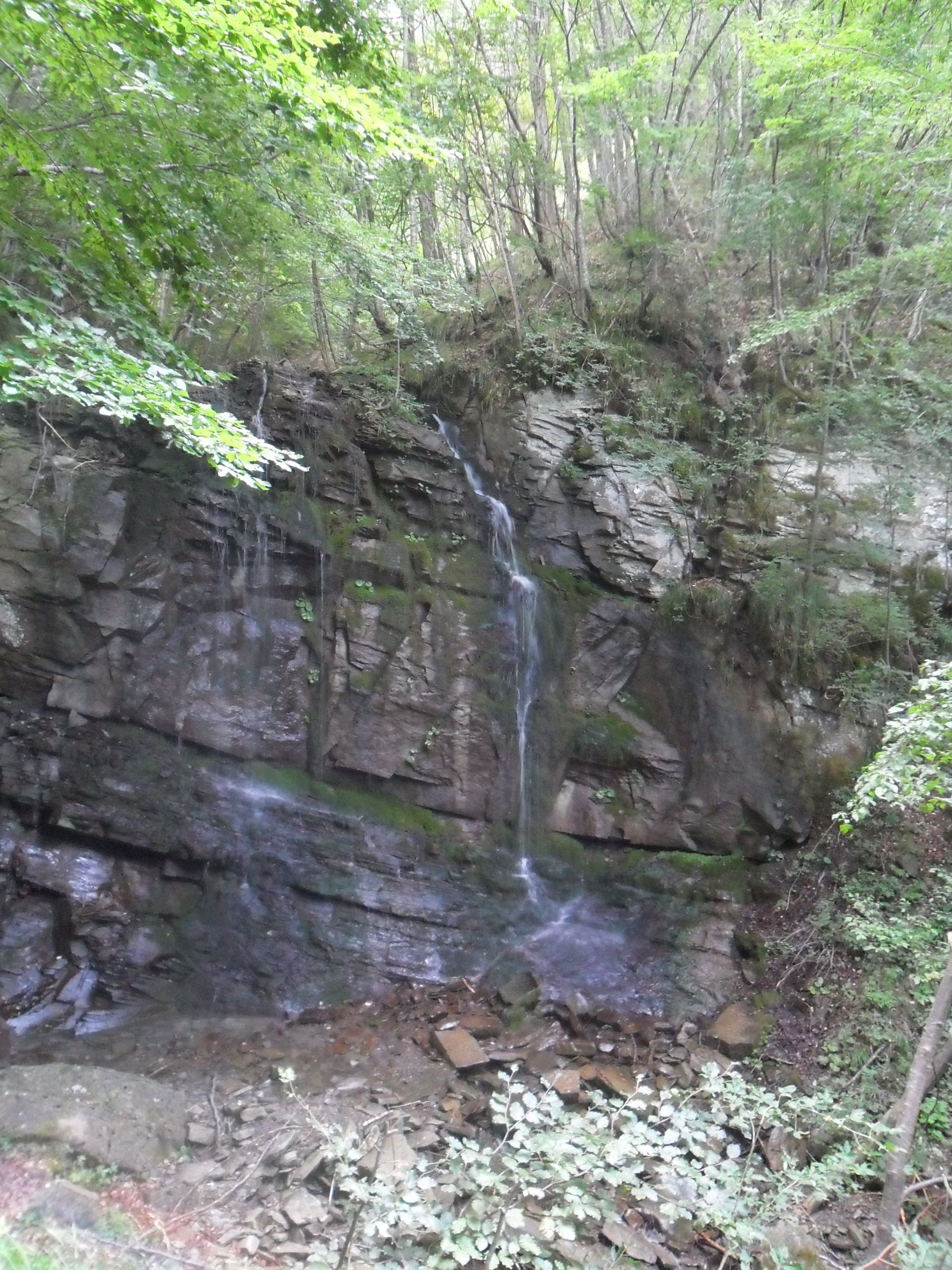 Terreno Agricolo Sestola 