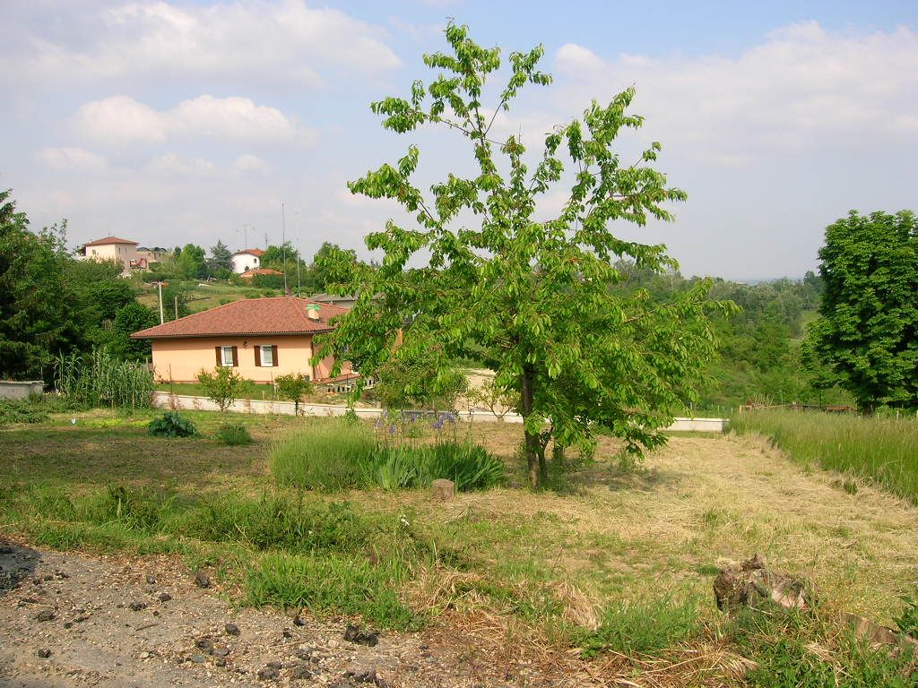 Terreno Residenziale Coniolo 