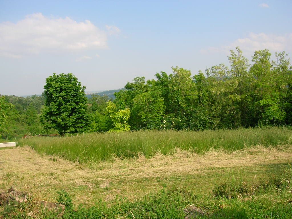 Terreno Residenziale Coniolo 