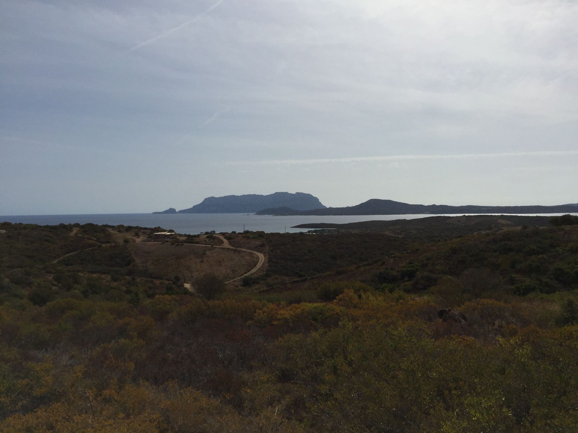 Terreno Agricolo Olbia 