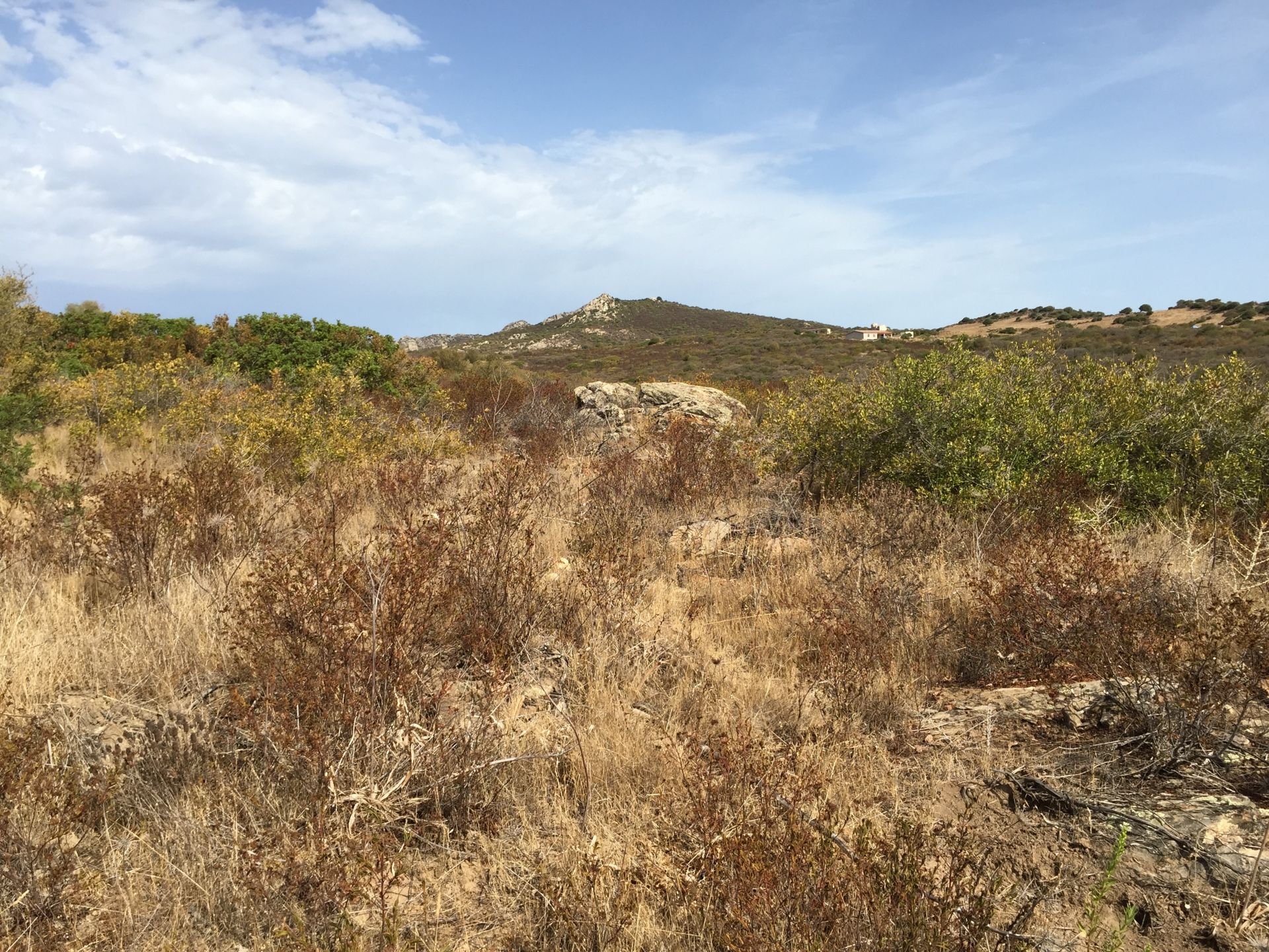 Terreno Agricolo Olbia 