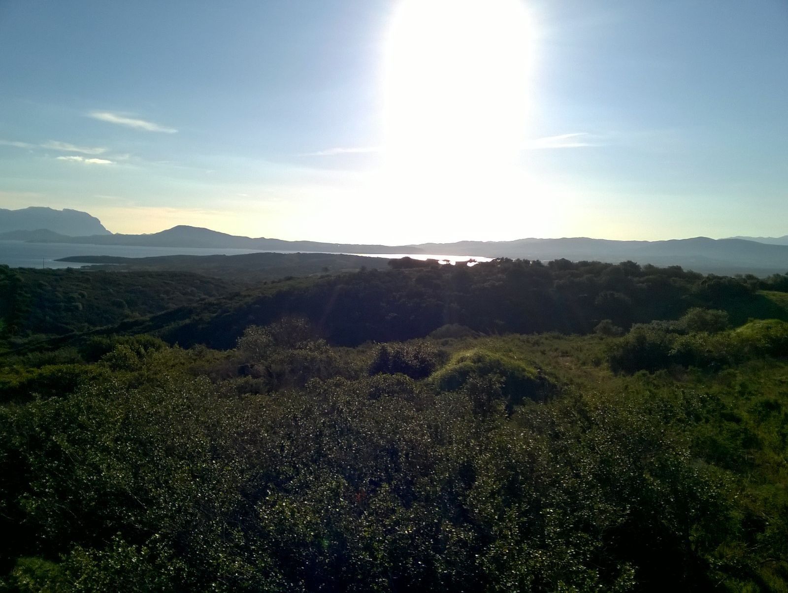 Terreno Agricolo Olbia 