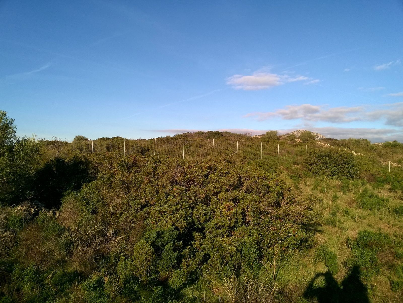 Terreno Agricolo Olbia 