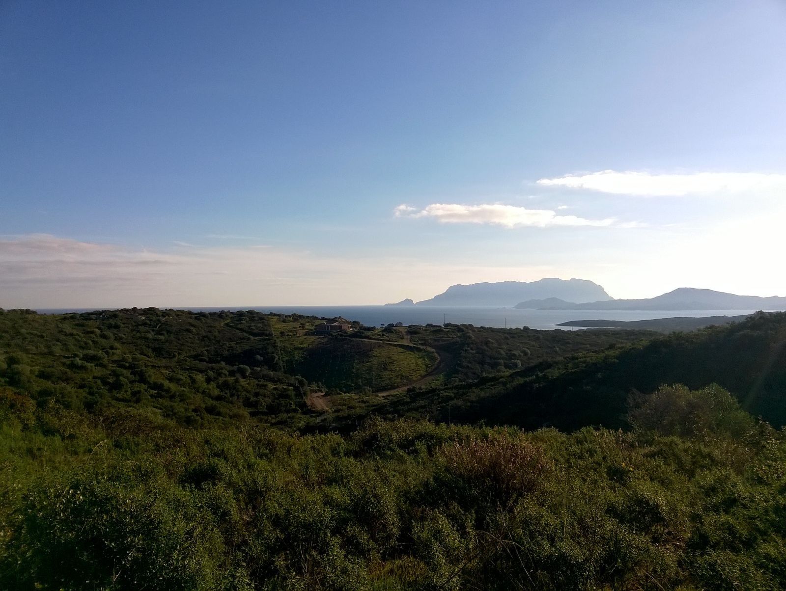 Terreno Agricolo Olbia 