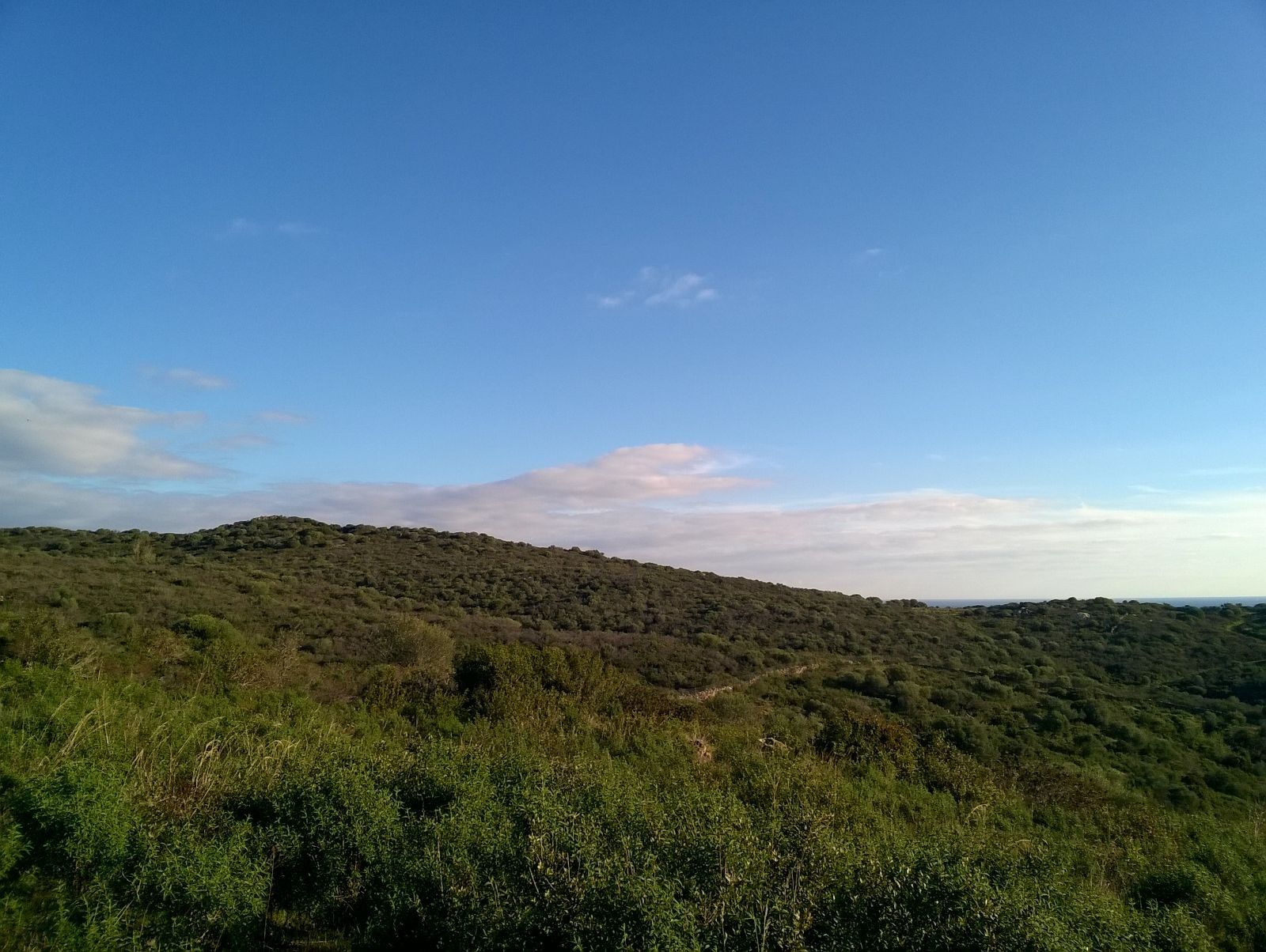 Terreno Agricolo Olbia 