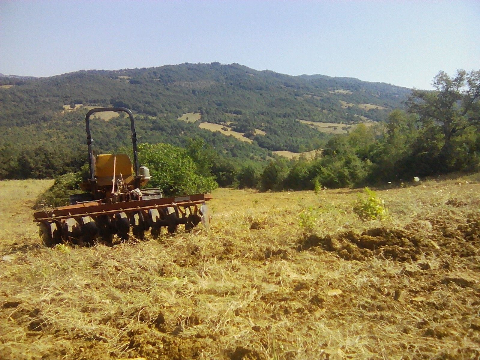 Terreno Agricolo Semproniano 